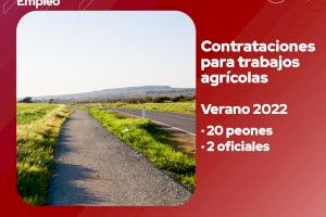 Massamagrell recibirá más de 75 mil euros para contratar a personas agrícolas durante el verano