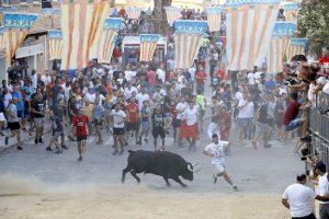 Compromís llama a boicotear el ‘bou al carrer’ en Paiporta