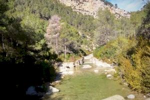 Transición Ecológica actualiza el Plan de Prevención de Incendios del parque natural de la Tinença de Benifassà