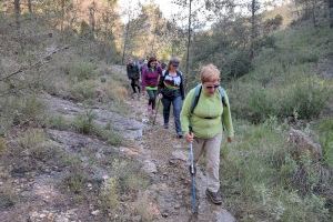 Una treintena de personas en la XVII ruta senderista de la Mancomunidad Espadán Mijares