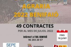 El Ayuntamiento de Benifaió recibe una subvención de 77.742 € para contratar a 49 vecinos desempleados del sector agrario