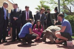 La reina Letizia conoce a Darwin, la tortuga gigante del Oceanogràfic