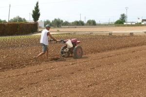 Els agricultors valencians reclamen reduccions fiscals en la Renta per a compensar les pèrdues