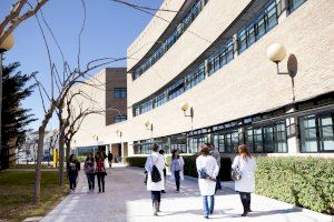 Crecen un 25% de los estudiantes internacionales en las universidades de Alicante
