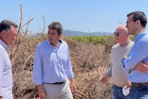 Mazón aboga por permitir las quemas agrícolas controladas para no hundir más al campo valenciano