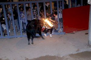 GALERÍA | Vila-real vuelve a vibrar con el ‘bou al carrer’ de Sant Pasqual
