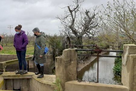 ‘Catarroja Sostenible’ limpia la acequia de la Font de la Rambleta para restablecer su capacidad hídrica