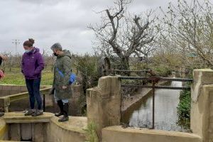 ‘Catarroja Sostenible’ neteja la séquia de la Font de la Rambleta per a restablir la seua capacitat hídrica