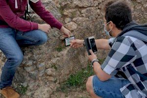Una aplicación móvil comparará materiales arqueológicos a través de su composición química