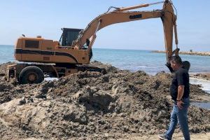 Santa Pola libera las playas de algas para facilitar para el baño