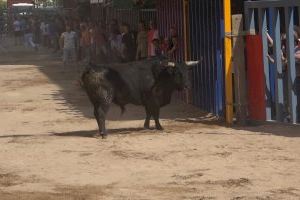 Secuencia del toro protagonista de los momentos más tensos del encierro de Vila-real