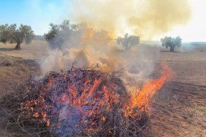 Agricultura autoritza les cremes agrícoles individuals per a evitar el risc d'incendis i plagues