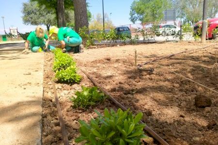 Alaquàs planta més de 600 espècies en una zona enjardinada del carrer Rafael Alberti