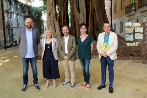 Compromís i Més per Menorca uneixen esforços per millorar la connectivitat entre l’illa i València