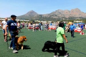 La Nucía albergó el X Concurso Nacional Canino