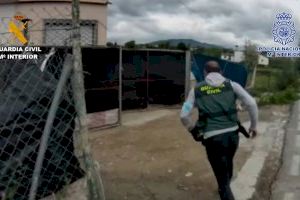 Nueve detenidos en La Vila Joiosa por traficar con cocaína, hachís, marihuana y speed