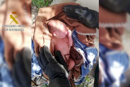 Rescaten a un nounat abandonat per la seua mare just després de donar a llum a Sant Isidre (Alacant)