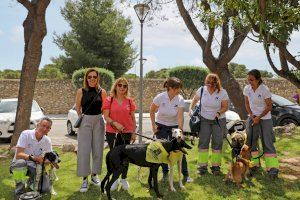Paterna celebra la feria Mascotalia para promover el cuidado y bienestar de los animales