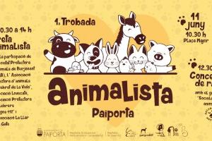 Paiporta celebrarà la seua primera Trobada Animalista l’11 de juny
