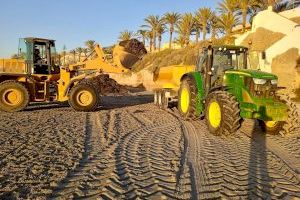 Ya han comenzado los trabajos para la retirada de los restos de posidonia de la playa del Puerto