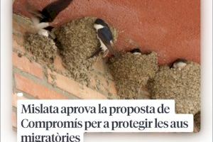 Mislata aprueba la propuesta de Compromís para proteger las aves migratorias