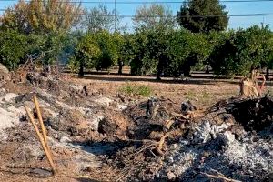 Sagunt aprova instar el Ministeri per a la Transició Ecològica perquè les restes de poda siguen considerades subproducte vegetal i no residu