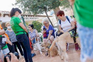 Eduka-dogs, el programa pionero de terapia con perros para personas mayores en l'Alfàs del Pi