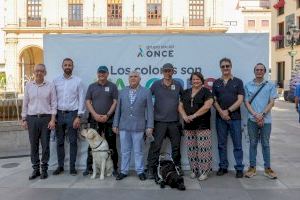 Castelló celebra una jornada para dar a conocer la labor de los perros guía de la ONCE
