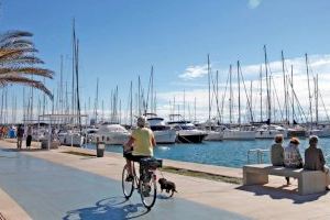 El passeig marítim de València comptarà amb un arbre solar per a recàrrega de xicotets vehicles elèctrics