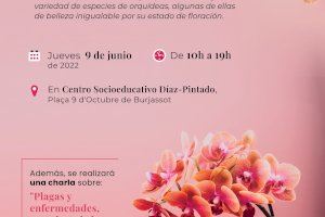 El Centro Socioeducativo Díaz Pintado acoge la exposición “El desconocido mundo de las orquídeas”