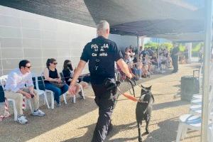 Castelló busca una segunda oportunidad a más de un centenar de mascotas a través del VII Festival de la Adopción