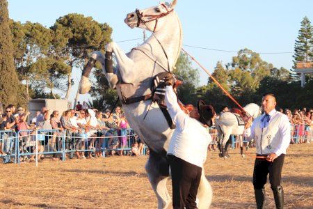 Más de 2.000 personas disfrutan del Festival de Andalucía de Mutxamel