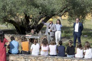 La Diputación de Castellón impulsa un proyecto para reforzar la educación ambiental en los colegios rurales agrupados de la provincia