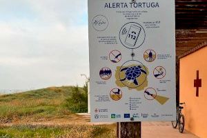 L’Ajuntament col·loca 15 cartells per millorar la conservació de les tortugues marines en València