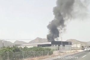 Incendio en una fábrica de frutas entre San Carlos y Albatera
