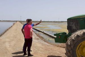 El Ayuntamiento de Catarroja invierte en el acondicionamiento de los caminos rurales