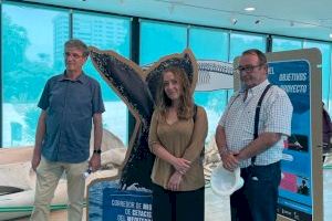 El Museo de Ciencias Naturales acoge la nueva exposición temporal “Los cetáceos del Mediterráneo”