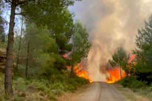 El gobierno declarará Caudiel como zona catastrófica tras el incendio