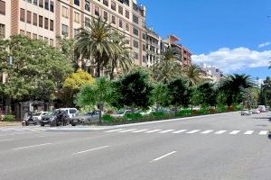 El Ayuntamiento de València inicia la contratación para ajardinar la mediana de la gran vía Germanies