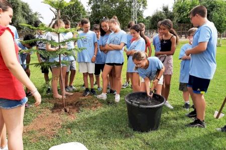 L'alumnat de sisé de primària del col·legi Bonavista planta un arbre a l'Albereda Sud en agraïment al seu professor