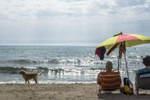 Turismo saca a licitación los servicios para la “Doggy beach” de la Playa de Agua Amarga