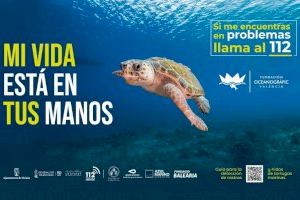 Burriana se suma a la campanya de sensibilització 'Tortugues a la Mediterrània'