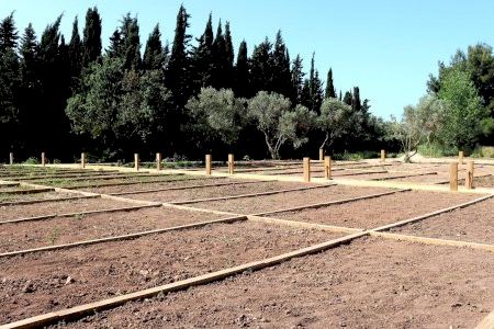 Medio Ambiente abre el viernes la solicitud para los nuevos 49 huertos urbanos en l’Horta