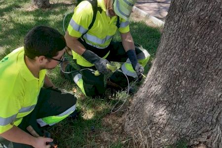 El Ayuntamiento de Algemesí prioriza el tratamiento biológico para el control de plagas en jardinería