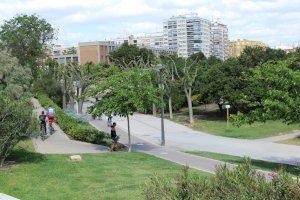 ¿Qué queremos hacer con el Jardín del Turia? València repensará su futuro con el primer plan director