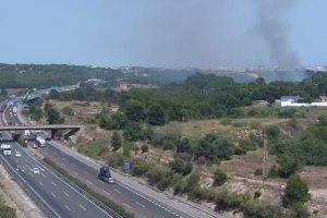 Se declara un incendio forestal en el cauce del Turia en Manises