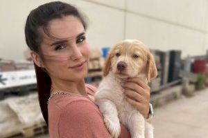 127 animales del refugio municipal de Paterna ya han encontrado un hogar