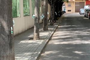 El Ayuntamiento realiza un tratamiento de endoterapia en los árboles de Godella para controlar las plagas