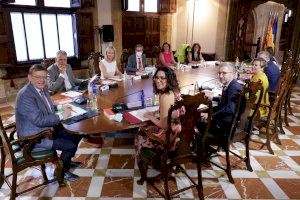 El Consell celebra el seu primer ple sense Mónica Oltra