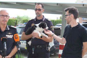 Novelda crea la Unidad Canina dentro de la Policía Local para la detección de drogas